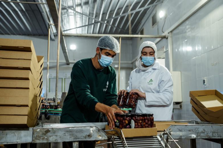 Egypt — From Desert to Dinner Table